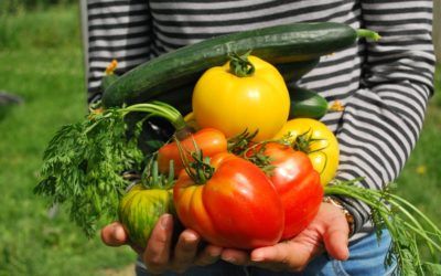 La dieta correcta para la salud de las piernas en caso de varices